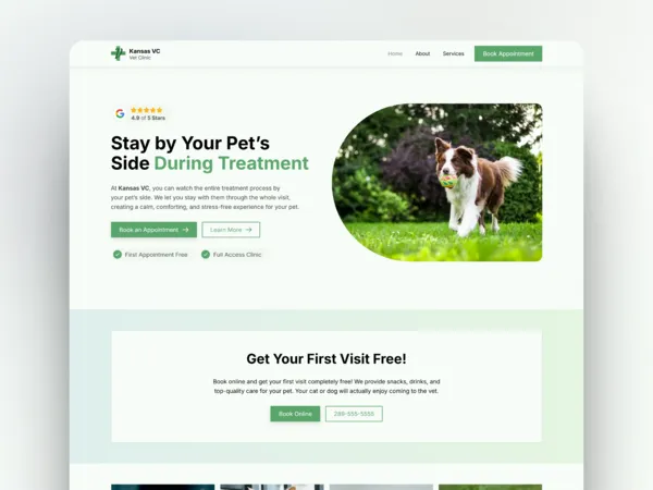 The Kansas VC homepage mockup